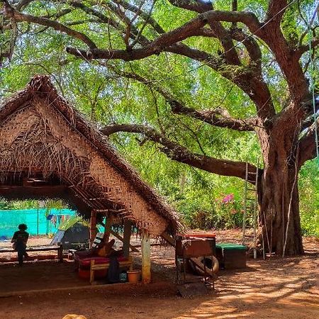 Travellers Tribe By Livelehood Habitat Vandrerhjem Auroville Eksteriør bilde