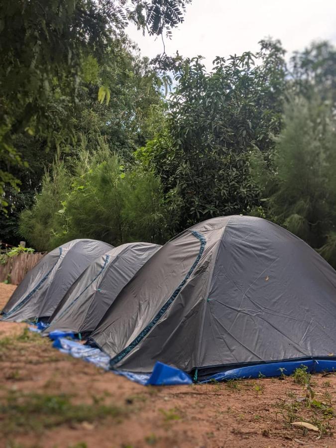 Travellers Tribe By Livelehood Habitat Vandrerhjem Auroville Eksteriør bilde