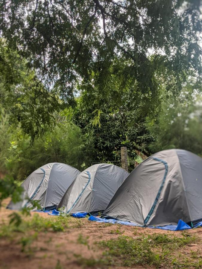 Travellers Tribe By Livelehood Habitat Vandrerhjem Auroville Eksteriør bilde