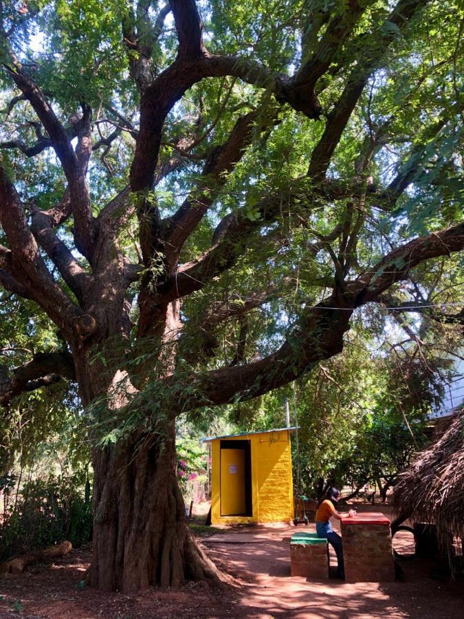Travellers Tribe By Livelehood Habitat Vandrerhjem Auroville Eksteriør bilde