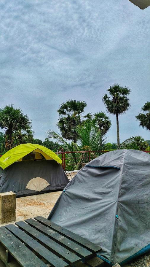 Travellers Tribe By Livelehood Habitat Vandrerhjem Auroville Eksteriør bilde